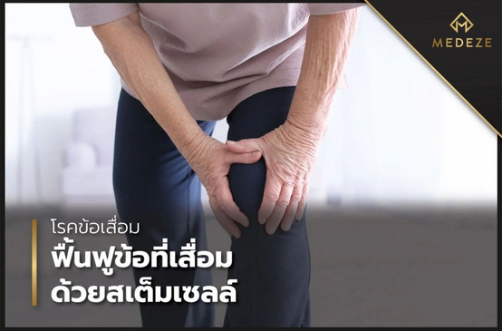 Slider image (2) Medeze Vietnam